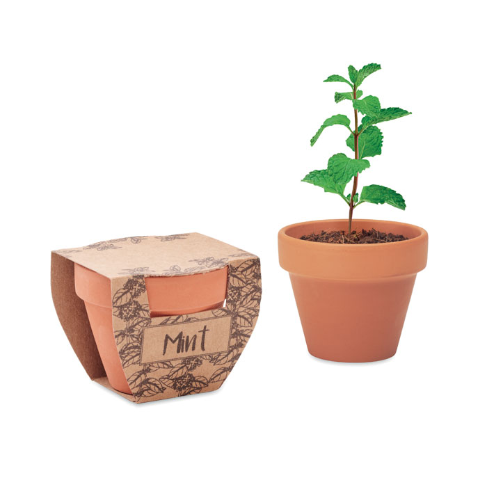 MINT POT Farba dreva – semená mäty v kvetináči s potlačou | Predmety.sk