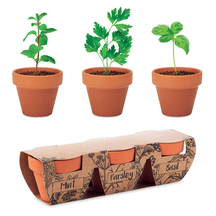 FLOWERPOT Farba dreva – terakotová súprava 3 byliniek s potlačou | Predmety.sk