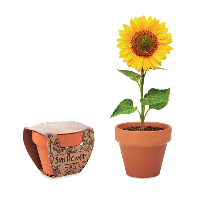 SUNFLOWER Farba dreva – terakotový kvetináč so slnečnicou s potlačou | Predmety.sk