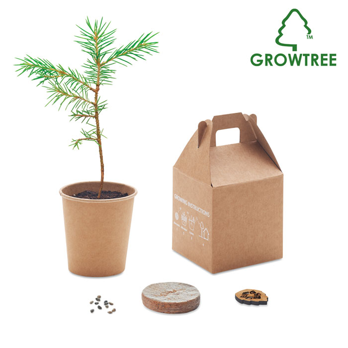 GROWTREE™ Béžová – súprava vyrobená z borovice s potlačou | Predmety.sk