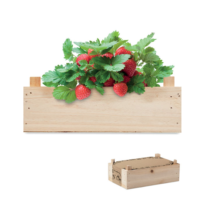 STRAWBERRY Farba dreva – jahodová súprava v debničke s potlačou | Predmety.sk